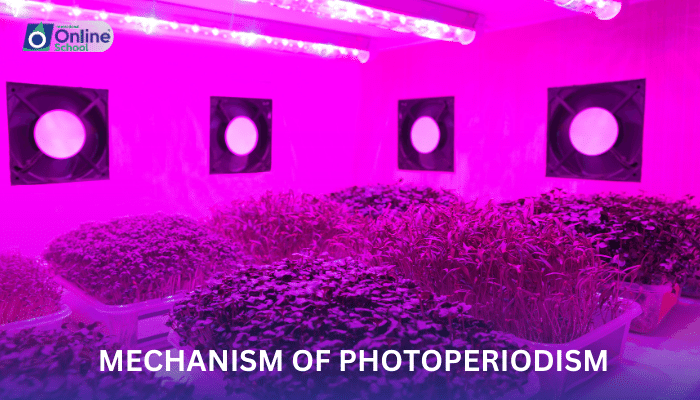 Lesson 25: Mechanism of Photoperiodism
